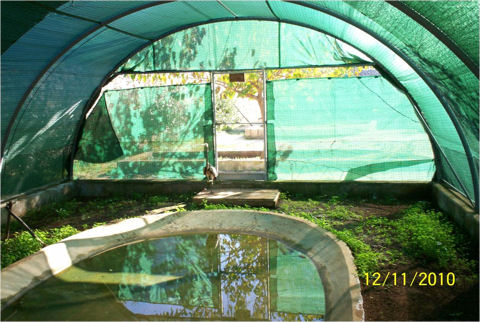 Voliera per uccelli acquatici